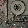 fossil
