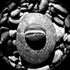 stone cosmos V