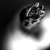 a nice pear - I