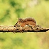 hangin out