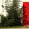 behind the red door