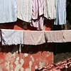meat & rags