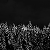 sliver II