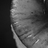 a nice pear - V