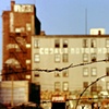 cobalt motor hotel
