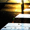 sunset crossing