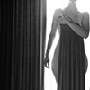 window covering