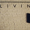 living with shadows
