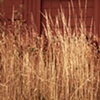 harvest with garage