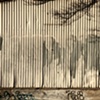 colour photography IV