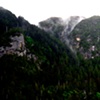 misty mountain hop