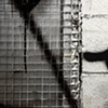a brutal confinement