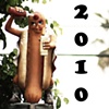 2010