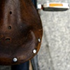 saddle