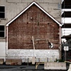 house fossil & yellow horse