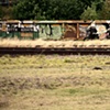 such a transient trainyard smattering