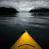 the s.s. perception
