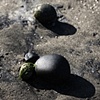 stone constellation