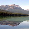 the rockies