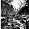 Sope Creek, Atlanta GA