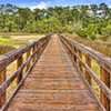 boardwalk