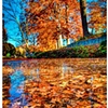 Loring Heights Pond, Atlanta GA