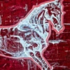 Equine