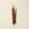 Encaustic