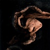 Fiber Sculpture Prints