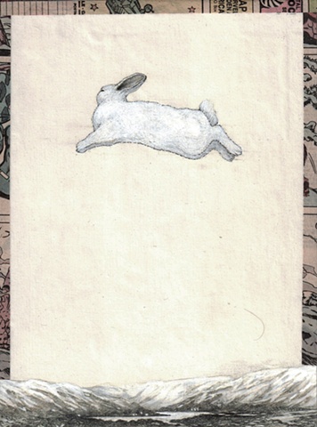 Rabbit In a Mountain Landscape