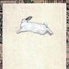 Rabbit In a Mountain Landscape