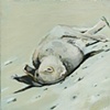 Rabbit (Sympathetic Gray)