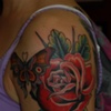 rose and butterfly
