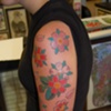 cherry blossoms