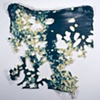 Conservative Fade