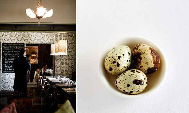 Harvest Fremantle Western Australia and Quail Eggs
