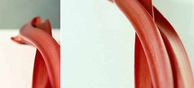 Rhubarb