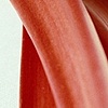 Rhubarb