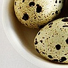 Harvest Fremantle Western Australia and Quail Eggs