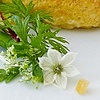 Wine + Food feature, Spice magazine
