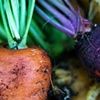 Slowfood Project, Carrots and Grapes