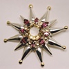 Pin Star