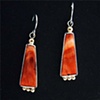 Earrings Spiny