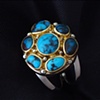 Ring Bisbee Cluster