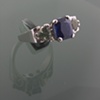 Ring Bleier