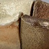 in this lodging, germination will occur if conditions are suitable