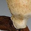 generating new growth