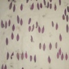 nature primer - purple coneflower petals