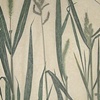 nature primer - grass