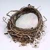 before you were born- nest